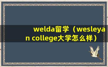 welda留学（wesleyan college大学怎么样）